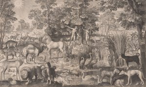 Adam et Ève au paradis - Nicolaes de Bruyn