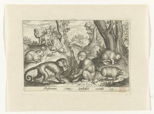 Singes, chats et souris