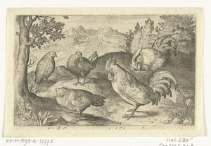 Trois poules et deux coqs - Nicolaes de Bruyn