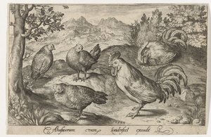 Trois poules et deux coqs, Oiseaux et insectes (titre de la série) - Nicolaes de Bruyn