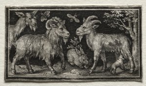 Chèvres et Lièvre, 1594 - Nicolaes de Bruyn