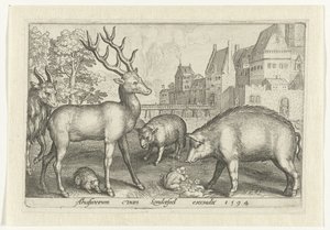 Hert, egel, schaap, kikker en varken - Nicolaes de Bruyn