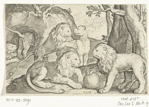 Lions - Nicolaes de Bruyn
