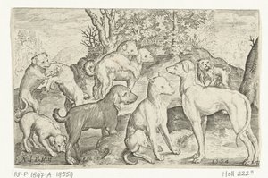 Neuf chiens - Nicolaes de Bruyn