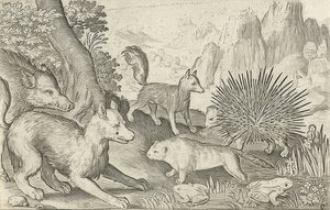 Sanglier, renards, castors, porc-épic et grenouilles. 1621 - Nicolaes de Bruyn