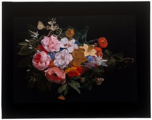 Une guirlande de roses, chèvrefeuille, lys, narcisses, fritillaire pintade