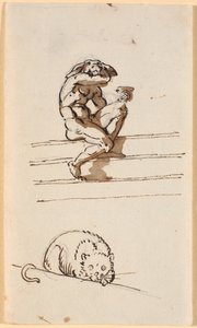 Étude de Lucius avec une tête d