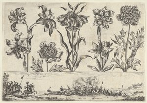 Panneau horizontal avec une rangée de fleurs au-dessus d