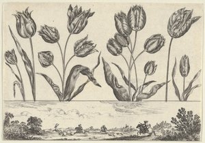 Panneau horizontal avec une rangée de fleurs au-dessus d