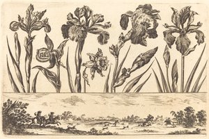 Impression de fleurs n°3 - Nicolas Cochin after Balthasar Moncornet