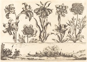 Impression de Fleurs n°8 - Nicolas Cochin after Balthasar Moncornet