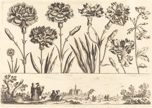 Impression de fleurs n°9 - Nicolas Cochin after Balthasar Moncornet