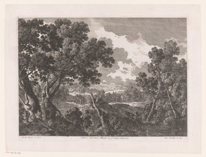 Paysage avec des arbres - Nicolas Perelle