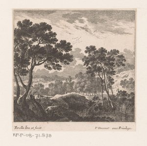 Paysage avec arbres et lac - Nicolas Perelle