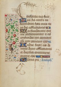 Page de texte décorée - Nicolas Spierinc