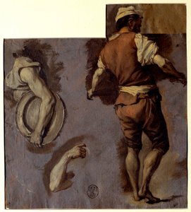 Étude d