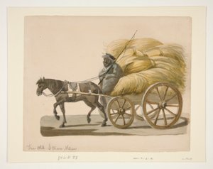 Le Vieil Homme de Paille