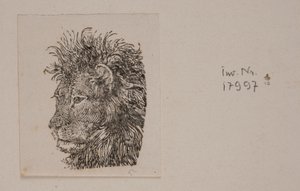Une tête de lion - Niels Skovgaard