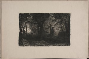La Forêt des Trolls