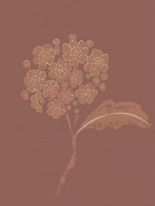 Fleur botanique aux accents terreux - Nikita Jariwala