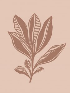 Dessin botanique naturel - Nikita Jariwala