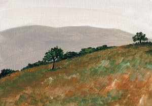 La sérénité des collines vallonnées
