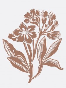Illustration florale rustique - Nikita Jariwala