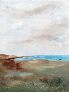 Paysage serein de plage - Nikita Jariwala