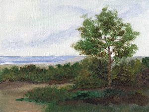 Sentier champêtre paisible - Nikita Jariwala