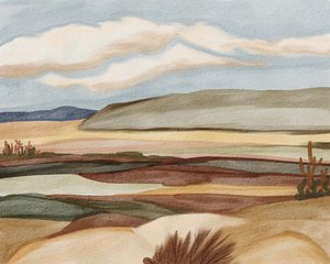 Panorama du désert du sud-ouest - Nikita Jariwala