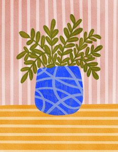 Plante d