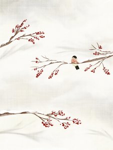 Oiseau d