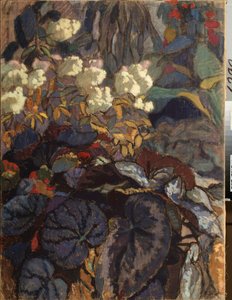Fleurs