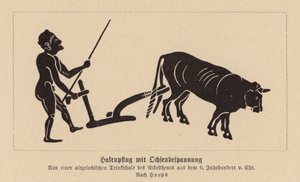 Charrue antique tirée par des bœufs grecs - Nikosthenes