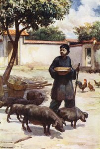 Chine : Une cour