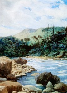 Paysage à Eromanga, Nouvelles-Hébrides, 1908