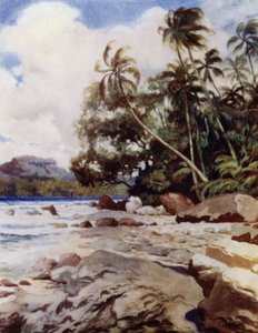Le récif près de Simbo, Îles Salomon