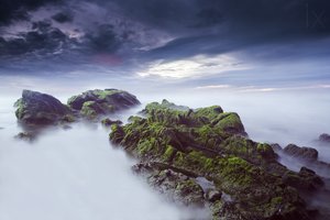 Paysage marin éthéré et moussu