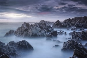 Rochers marins brumeux