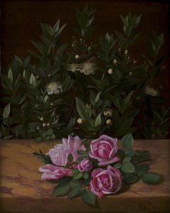 Roses et myrtes