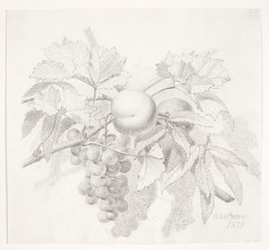 Raisins et pêches - O.D. Ottesen