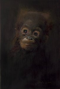 Bébé orang-outan 1, 2009 (acrylique sur bois)