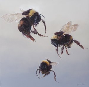 Bombus vol 1, 2011 (acrylique sur bois) - Odile Kidd