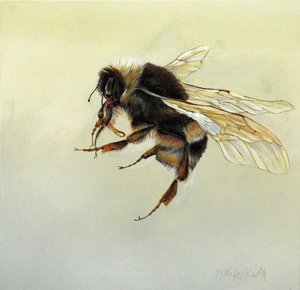Bombus terrestris 4, 2011 (acrylique sur bois) - Odile Kidd