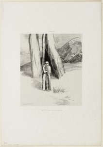 Un fou dans un paysage lugubre, planche 3 de 6 - Odilon Redon