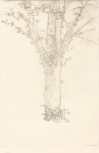 Arbre - Odilon Redon