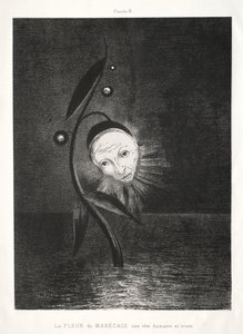 Hommage à Goya: La fleur des marais, une tête humaine triste, 1885 - Odilon Redon