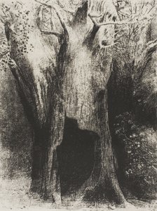 Je me suis plongé dans la solitude. J