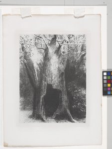 Je me suis enfoncé dans la solitude - Odilon Redon