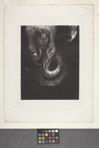 Oannès : "Moi, la première conscience du chaos..." - Odilon Redon